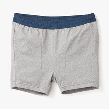 Load image into Gallery viewer, Fair Harbor- Anchor Boardshorts (Mist Seaview)