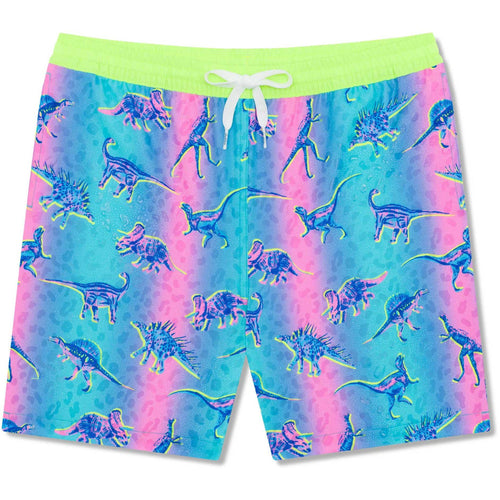 Chubbies- Youth Classic Swim Trunk (The Dino Delights/ Mesh)