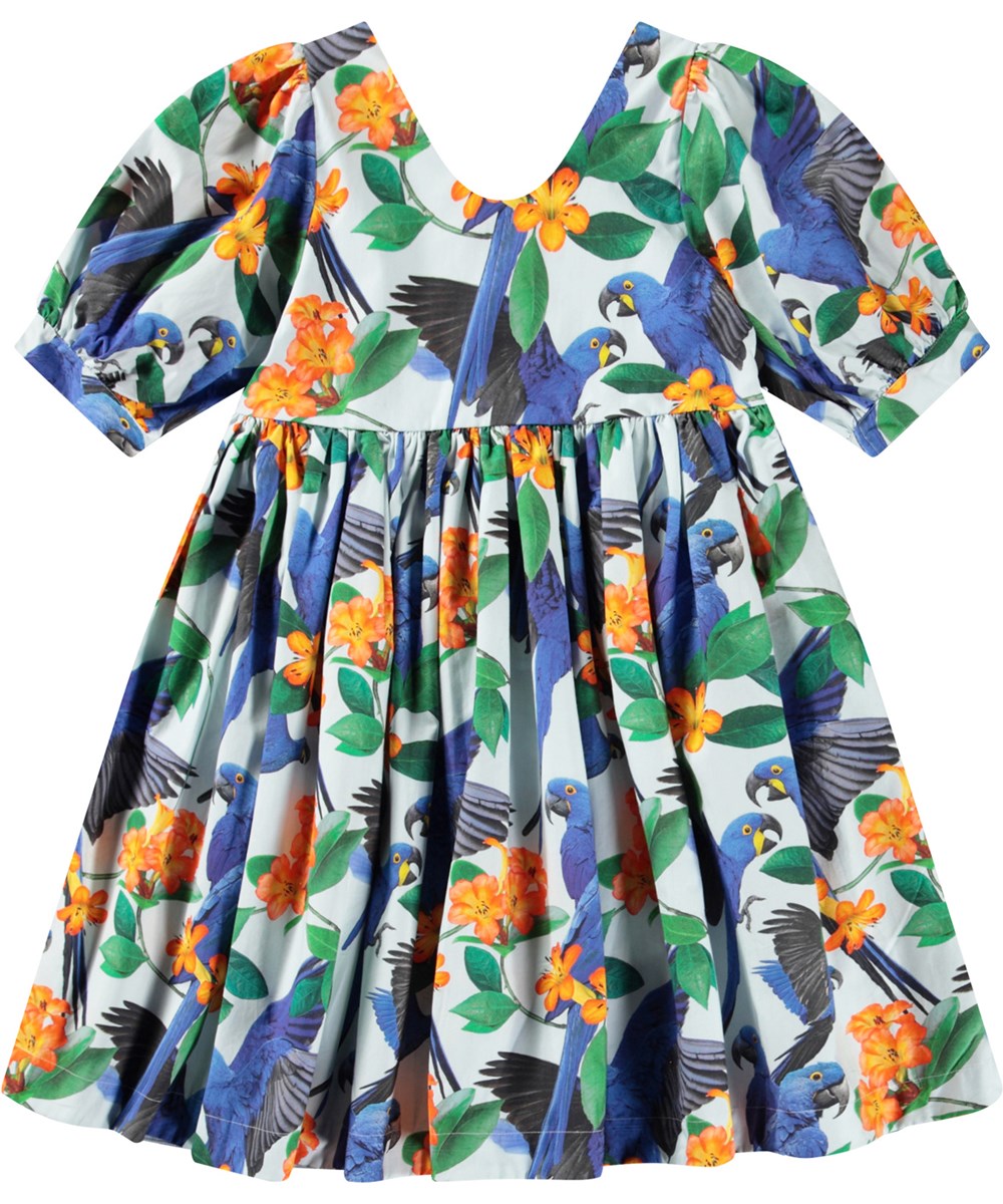 Molo- Camilo Dress (Macaw Blue, 2-16)