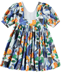 Molo- Camilo Dress (Macaw Blue, 2-16)