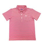Load image into Gallery viewer, Saltwater Boys- Inshore Performance Stripe Polo SS- Red Stripe (2-8)