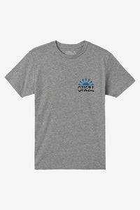 O'Neill- Huckleberry T-Shirt (Heather Gray, S-XL)