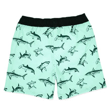 Load image into Gallery viewer, Feather 4 Arrow- Sea Kings Boardshorts (Beach Glass 8-14)
