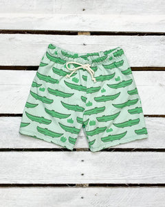 Tidewater Tots- Gator Boys Swim Trunks (6m-6)