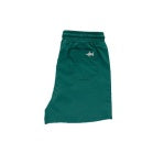 Load image into Gallery viewer, Saltwater Boys- Topsail Performance Shorts (Golf Green, 12m-24m)