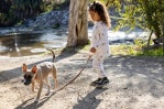 Load image into Gallery viewer, Feather 4 Arrow - Ava Horse Hacci Set: Ivory (3m-6)