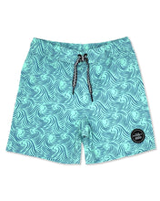 Load image into Gallery viewer, Feather 4 Arrow- Peaks Boardshorts- Beach Glass